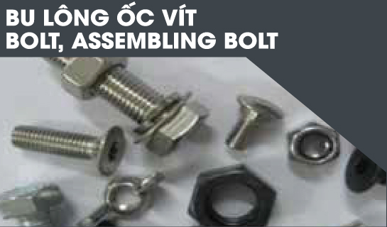 BU LÔNG ỐC VÍT- BOLT, ASSEM BLING BOLT